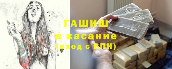 стафф Елизово