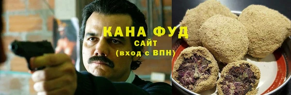 молекула духа Ельня
