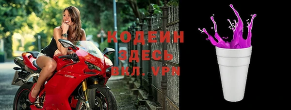 стафф Елизово