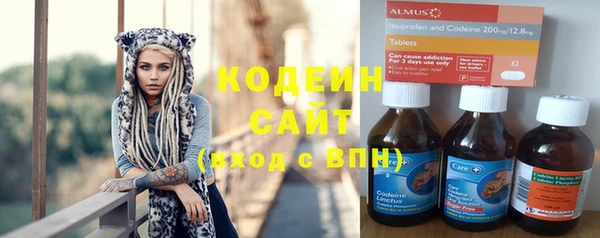 молекула духа Ельня