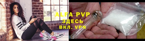 стафф Елизово