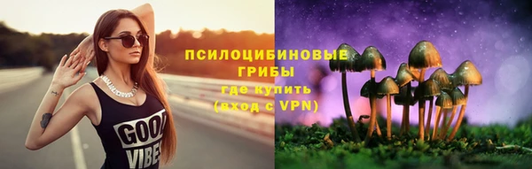 стафф Елизово