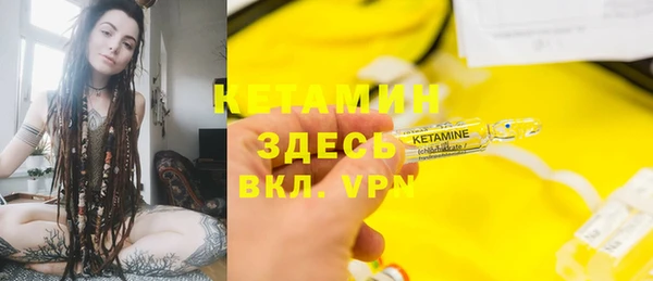 молекула духа Ельня