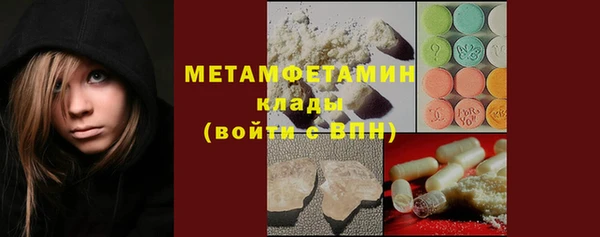 молекула духа Ельня