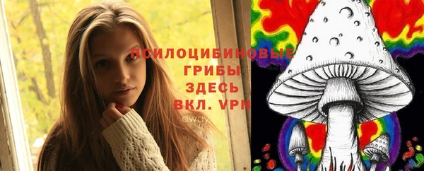 молекула духа Ельня