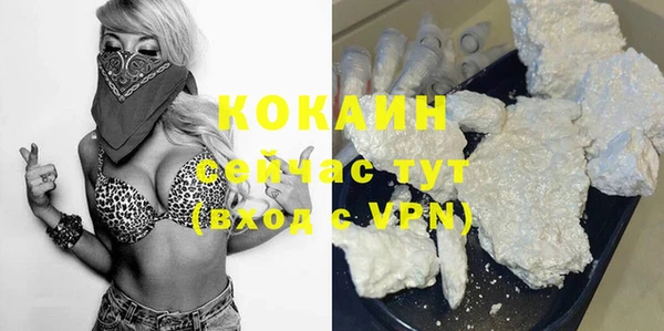 стафф Елизово