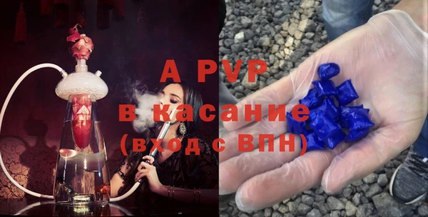стафф Елизово