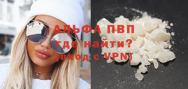 стафф Елизово