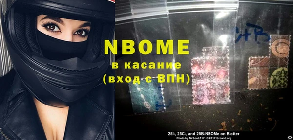 молекула духа Ельня