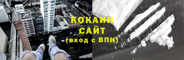 молекула духа Ельня