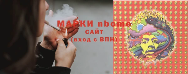 молекула духа Ельня